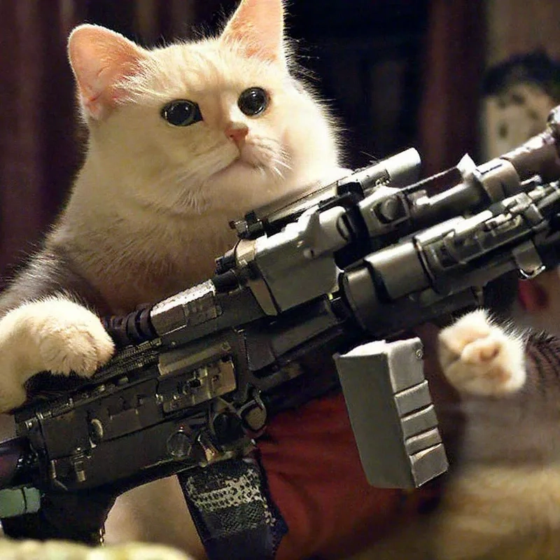 Meme mèo cầm súng ngầu