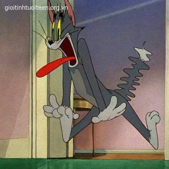 Mèo Tom ngạc nhiên