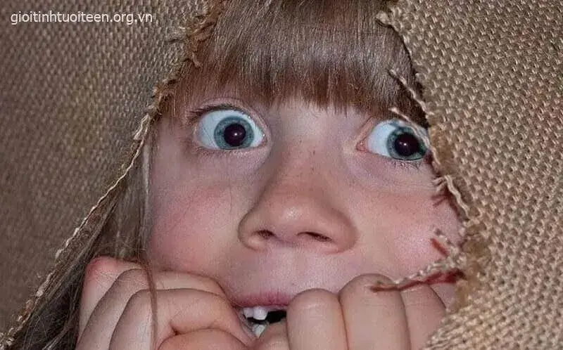 Meme sốc mắt tròn xoe