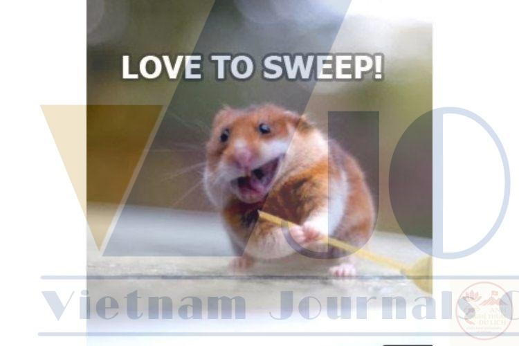 Meme biến mất gây cười bởi cách xử lý tình huống đầy sáng tạo