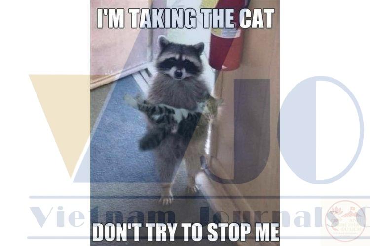 Bộ ảnh meme bay màu thể hiện phong cách sáng tạo của giới trẻ hiện nay