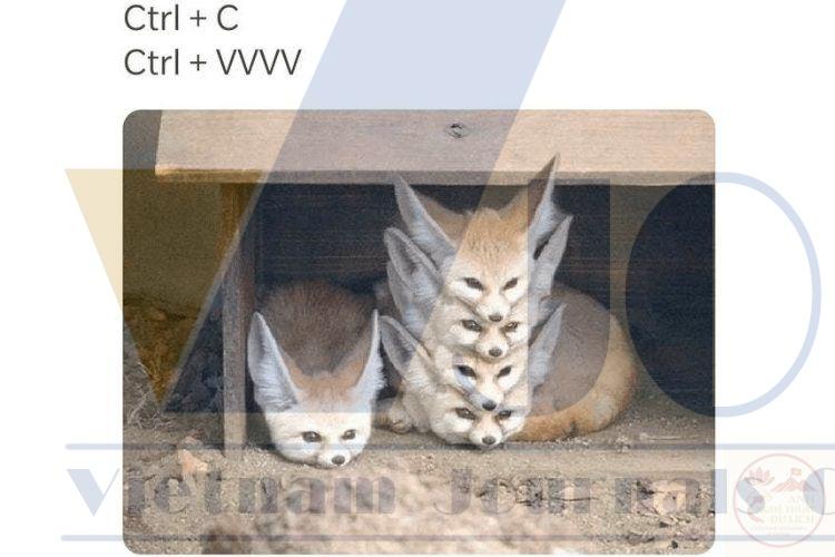 Meme bay màu tinh tế, gợi sự bất ngờ đầy thú vị cho người xem