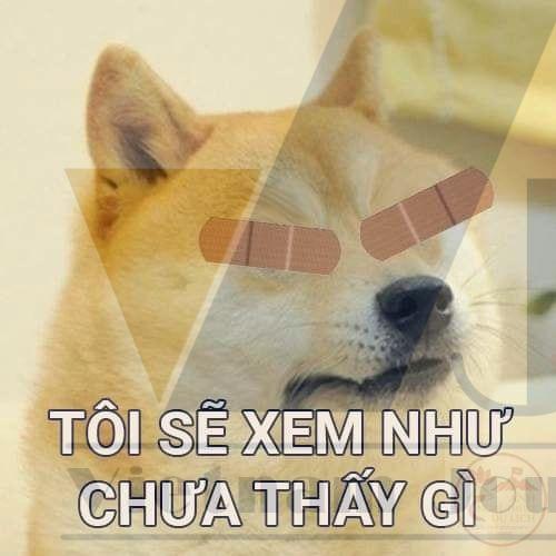 Bộ ảnh meme tàng hình gây bất ngờ và khiến cộng đồng thích thú