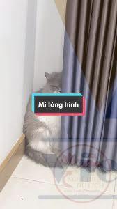 Meme tan biến sáng tạo khiến ai cũng muốn chia sẻ ngay lập tức