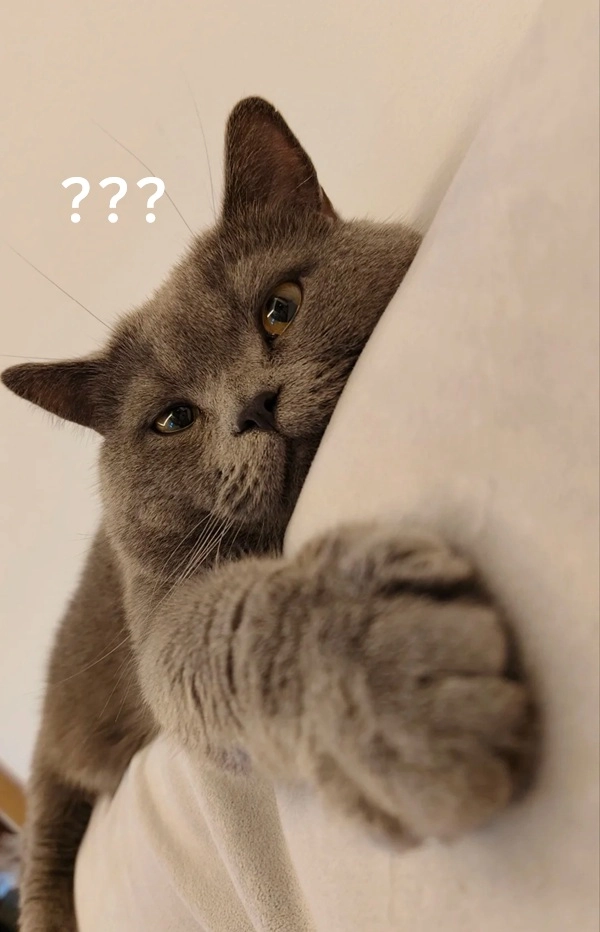 Meme buồn cười hỏi chấm