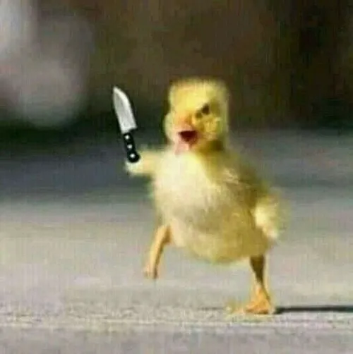 Meme cọp lú
