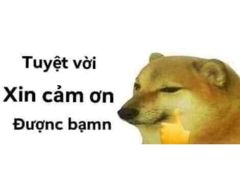 Meme cảm ơn hài hước