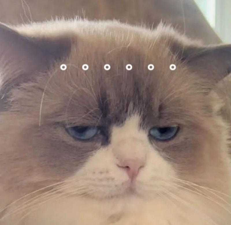 Meme cạn lời hài hước