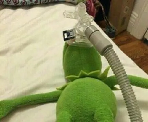 Ếch xanh thở oxy meme