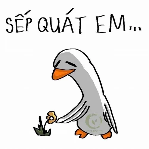Vịt ngáo Facebook