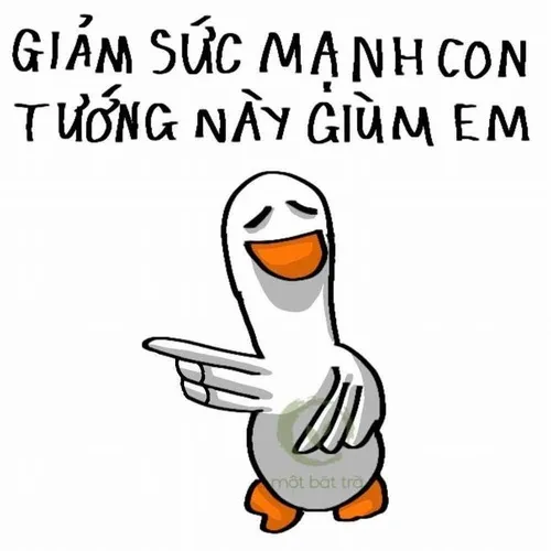 Vịt remix TikTok