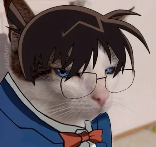 Conan meme cạn lời