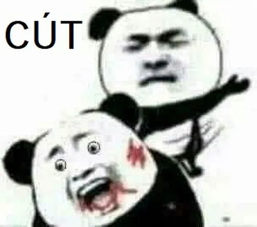 Meme cút biến đi