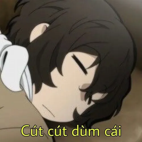 Meme cút hết kiên nhẫn