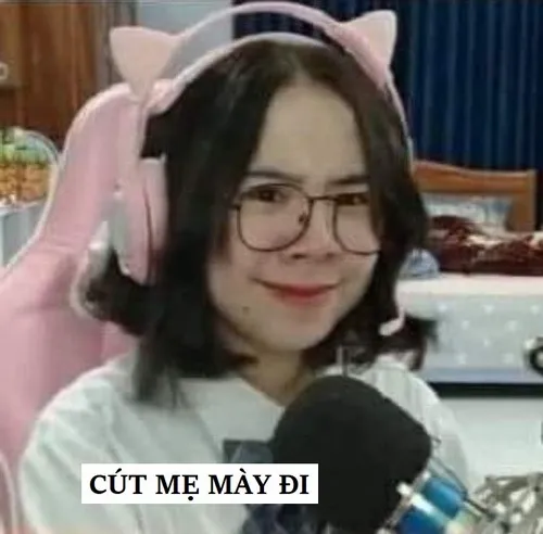 Meme cút đang bực