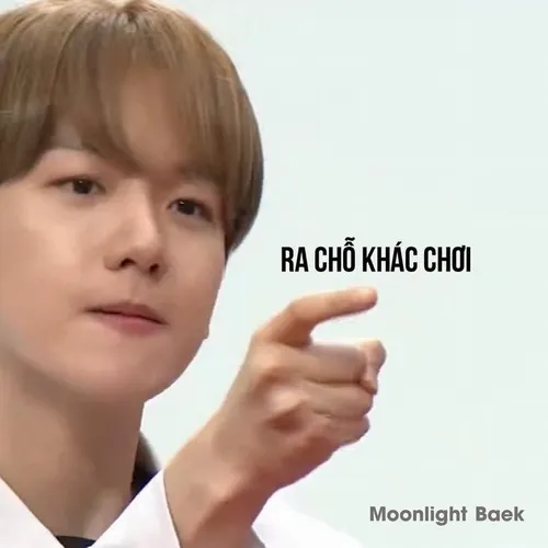 Meme cút thần thái