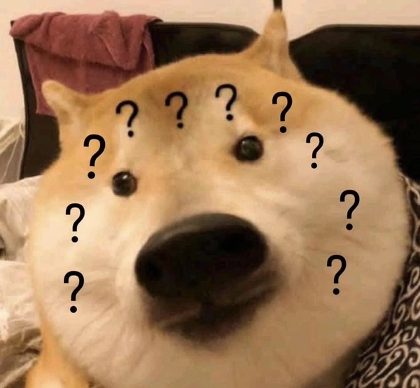 Meme cute hỏi chấm