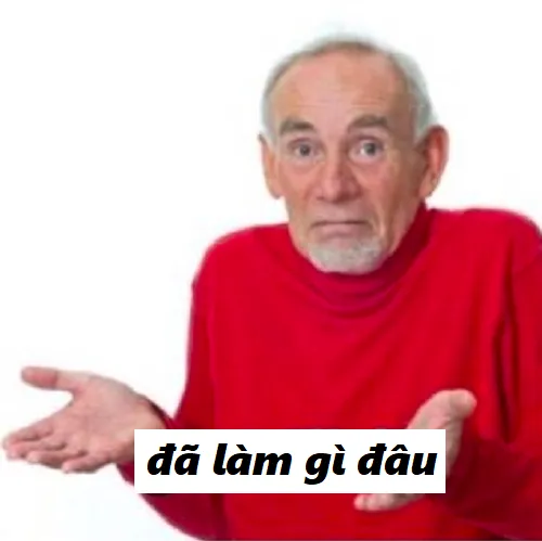 Meme đã làm gì đâu cute