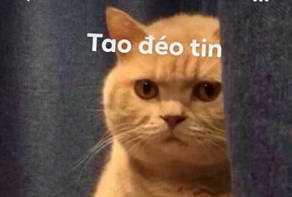 Meme đéo tin 1