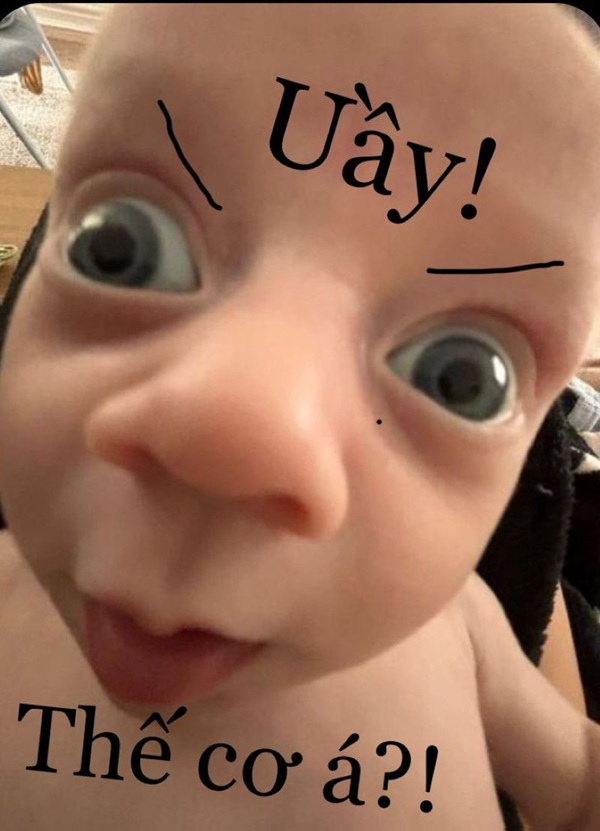 Meme đéo tin hài hước