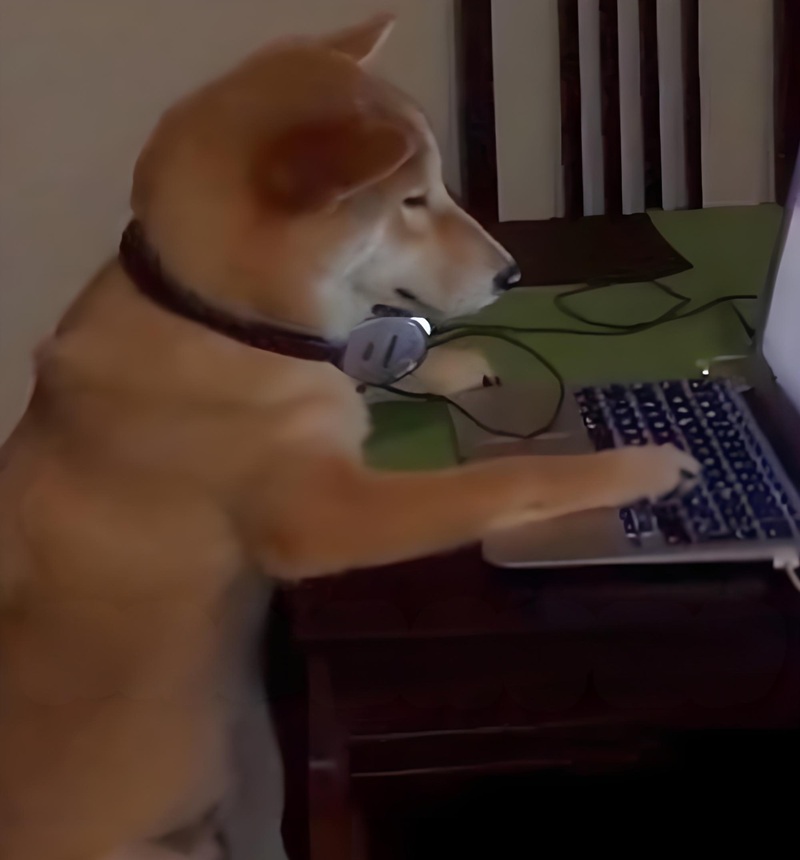 Meme đi làm hài hước