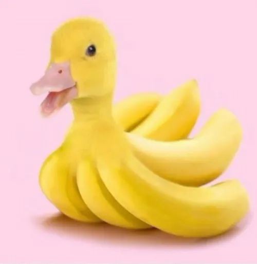 Meme động vật dễ thương