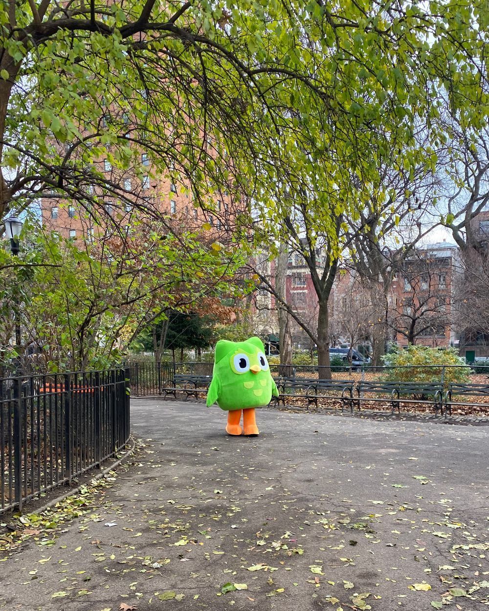 Meme Duolingo giúp người học cảm thấy việc ôn tập dễ tiếp thu hơn trước