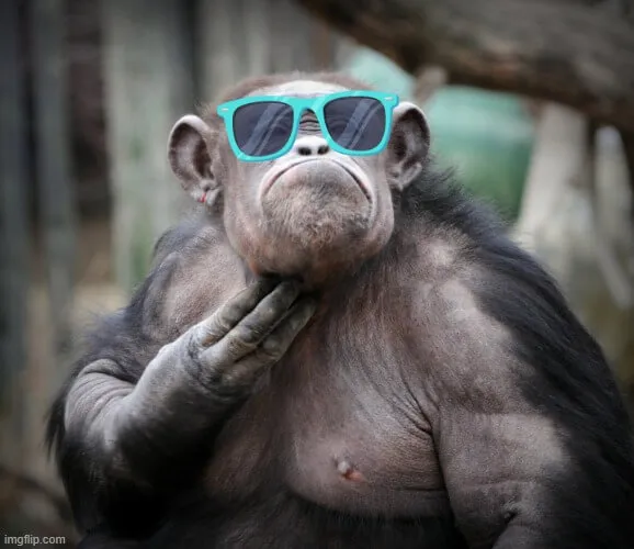 Meme gãi đầu dân mạng