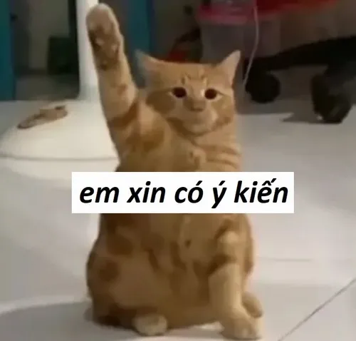 Story » Tổng hợp Meme Giơ Tay Phát Biểu, Ý Kiến: Khi im lặng là vàng, còn phát biểu là… vô tri