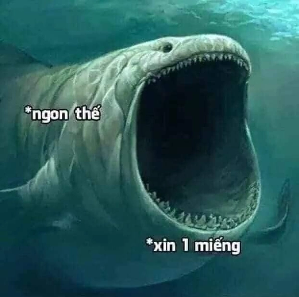 Tổng hợp meme há miệng khiến cư dân mạng cười ngất
