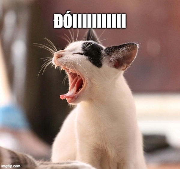 Khi meme trở thành bữa ăn: meme há miệng ăn