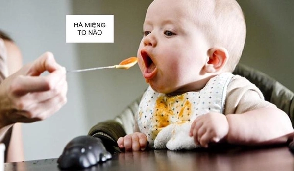 Chào ngày mới bằng meme há miệng đút cơm siêu dễ thương