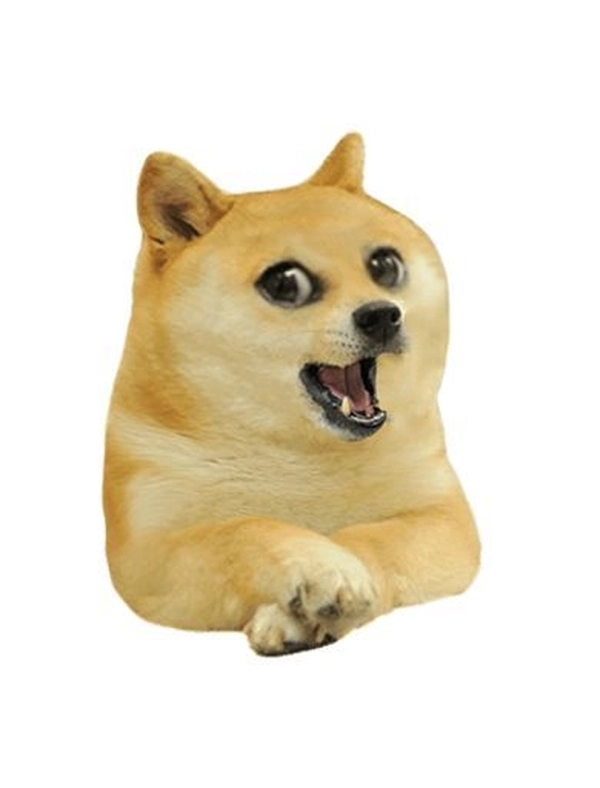 Khó nhịn cười với meme chó há miệng ngáo ngơ