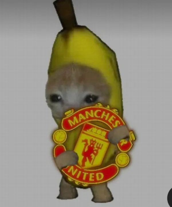 Meme fan MU tuyệt vọng