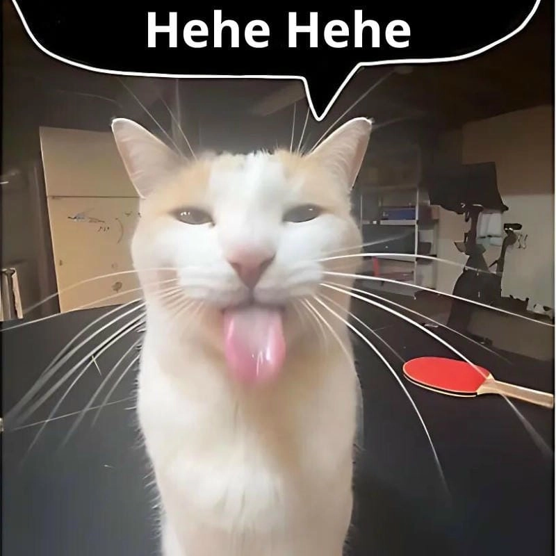 Hehe meme hài hước