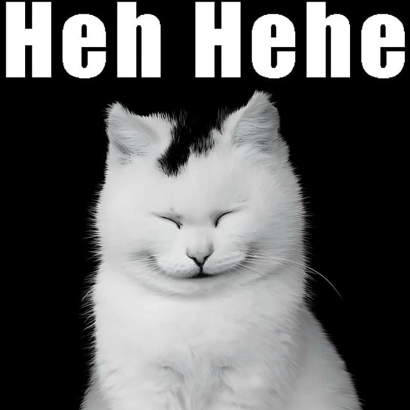 Hehe meme mới nhất