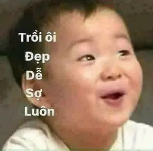 Meme gấu trúc khen cute