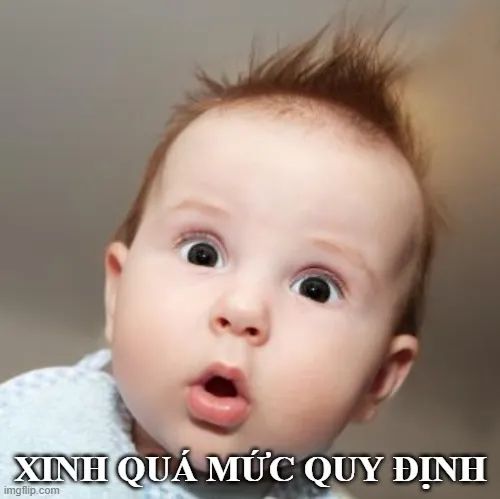 Meme khen vợ hài hước