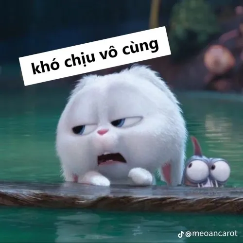 Hình chế khuôn mặt ngứa mắt