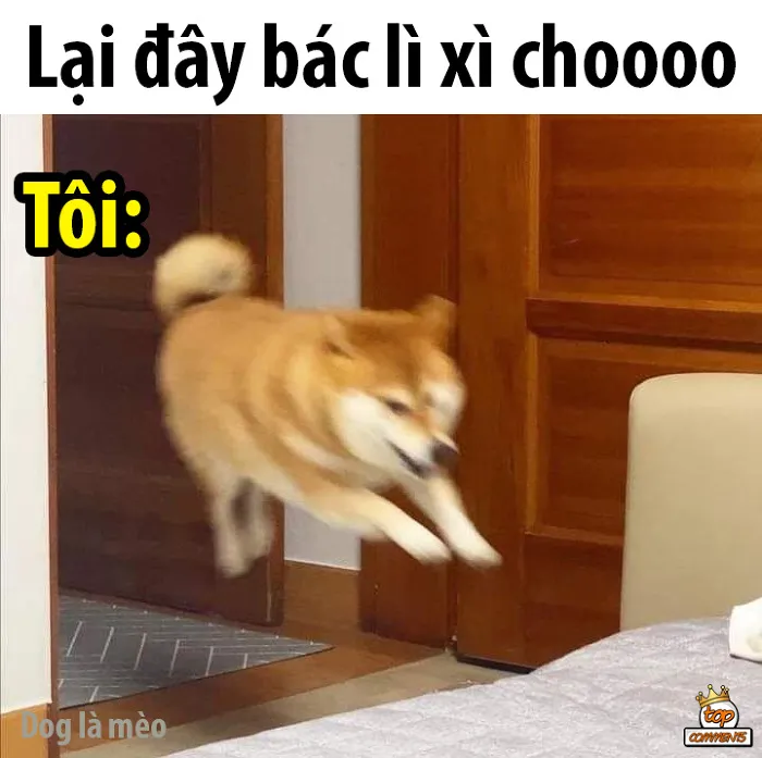 Meme lì xì Tết