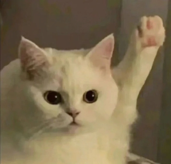 Top 99+ meme giơ tay hài hước, lầy lội và sáng tạo