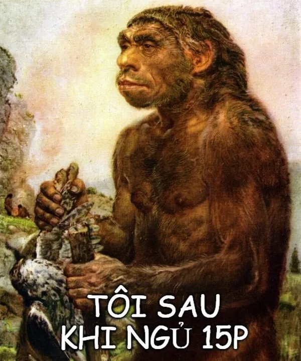 Meme tối cổ không hiểu gì