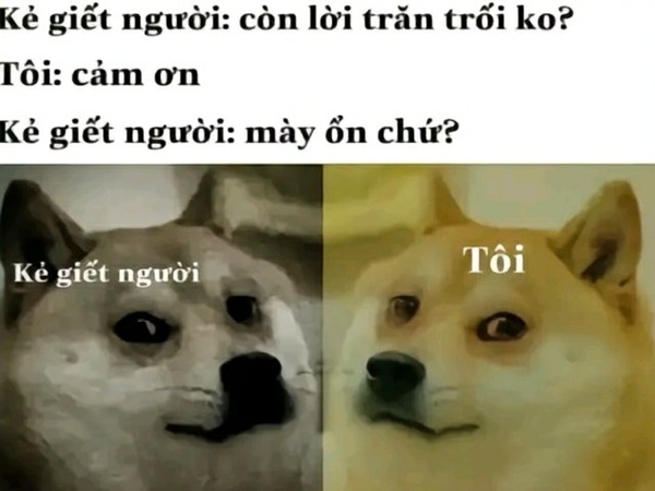 meme nhân văn 15