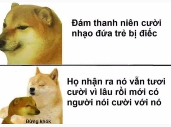 meme nhân văn 32