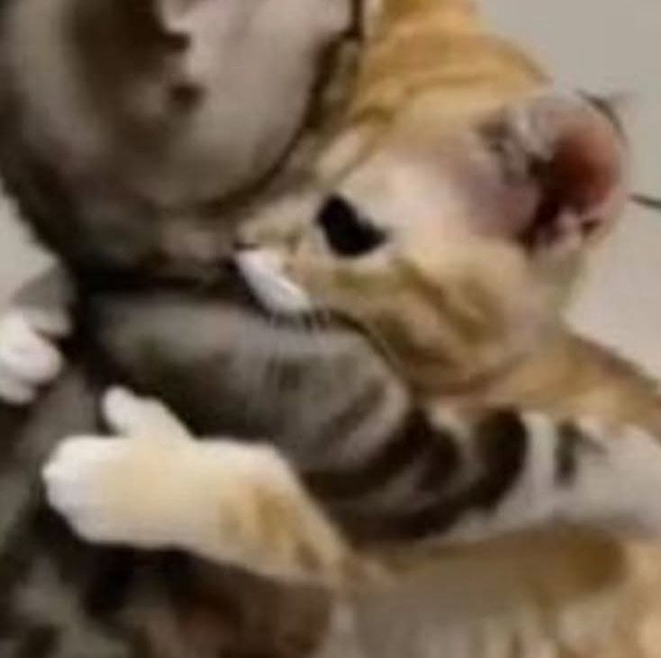 Meme ôm đầu bất ngờ khiến cuộc trò chuyện thêm phần dí dỏm