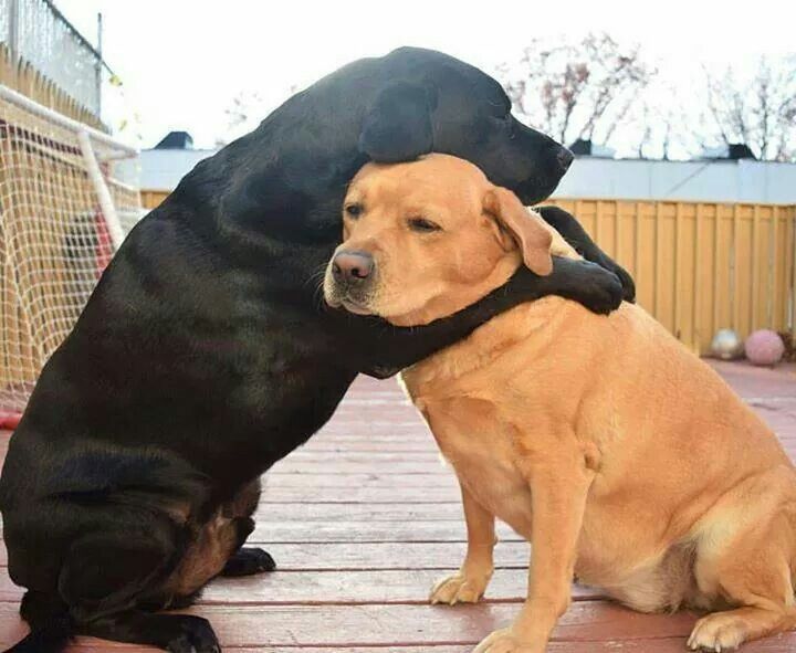 Meme ôm đầu bất ngờ thường đem lại sự hài hước bất ngờ