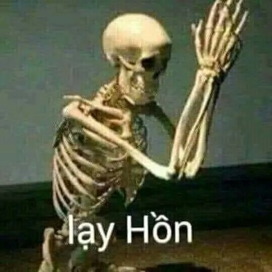 Meme bộ xương lạy