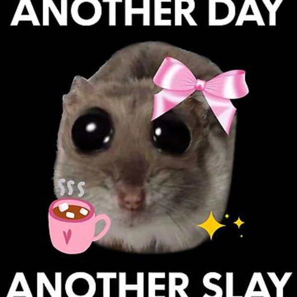 Slay meme girl ngầu