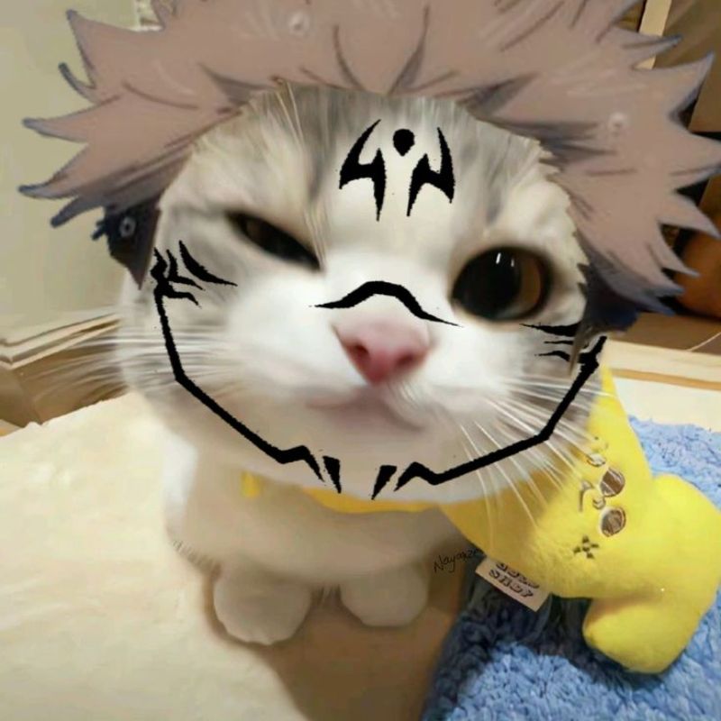 Sukuna meme complete