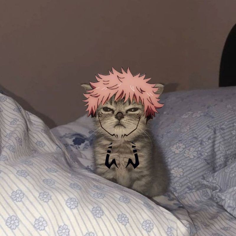 Meme Sukuna edit